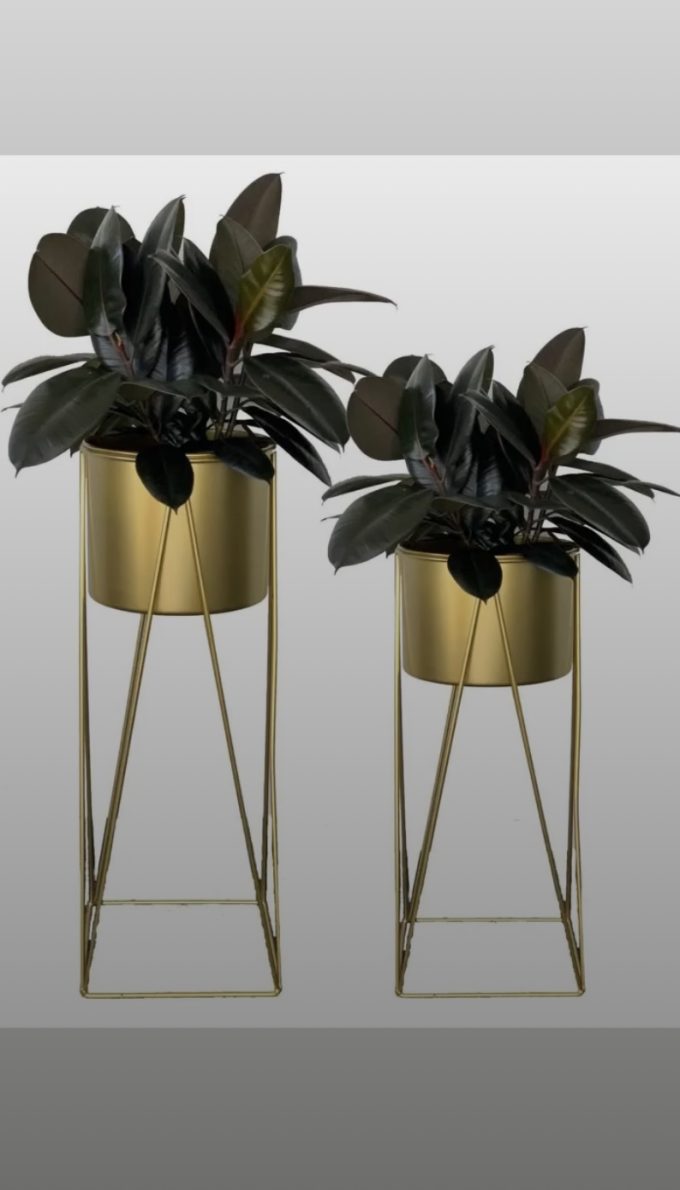 Planter Pot Set of 2 on Stand